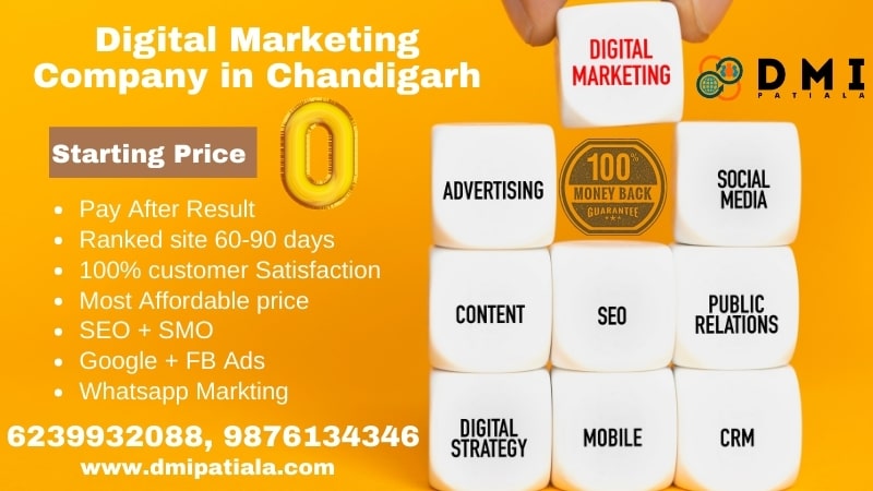 Digital marketing company in chandigarh